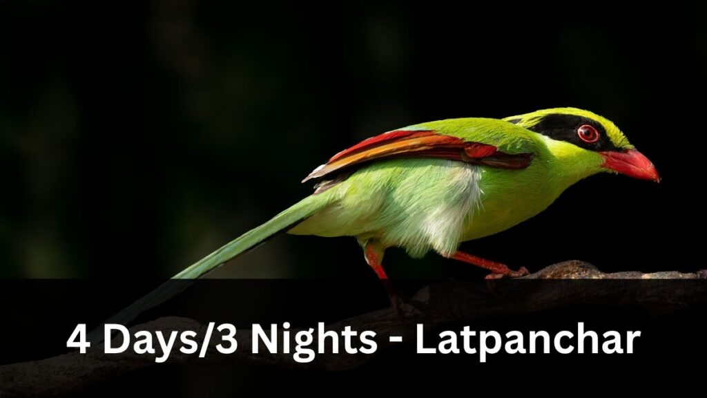 Latpanchar 4 Day Birding Tour