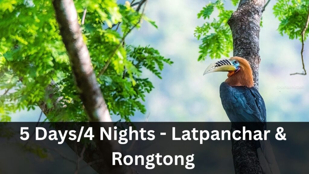 Latpanchar and Rongtong 5 Day Birding Tour