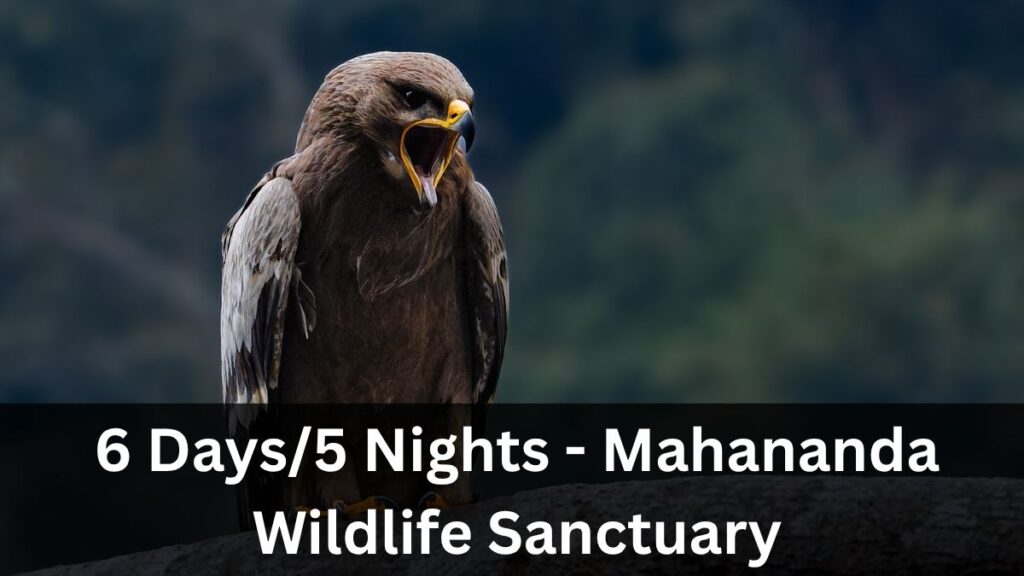 Mahananda Wildlife Sanctuary 6 Day Birding Tour